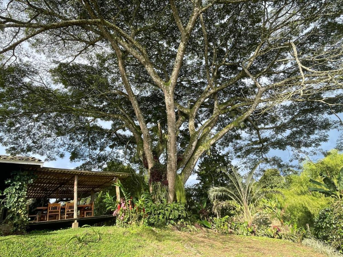 Hotel Muchosur Quimbaya Exterior foto
